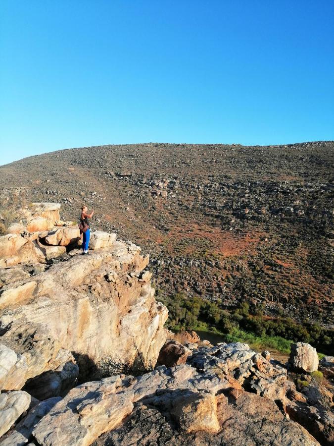 Oudrif Farm Villa Clanwilliam Exterior photo