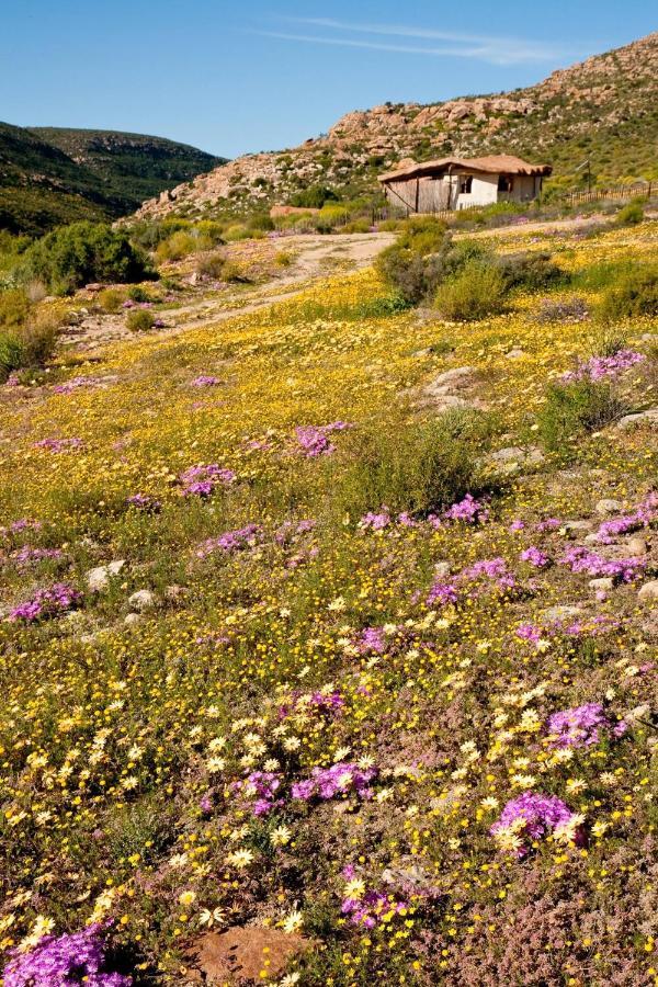 Oudrif Farm Villa Clanwilliam Exterior photo